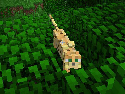 Minecraft'ta bir kediyi nasıl evcilleştirirsiniz?