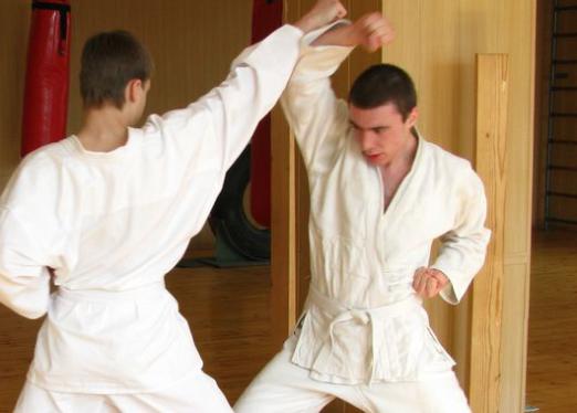 Karate nedir?